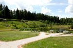 Homestead “Miško vila” for Your celebrations. 4.5 ha area surrounded by forest - 5