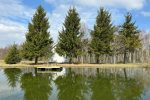 Zagroda z sauną Dom relaksacyjny przy kamieniu - 4