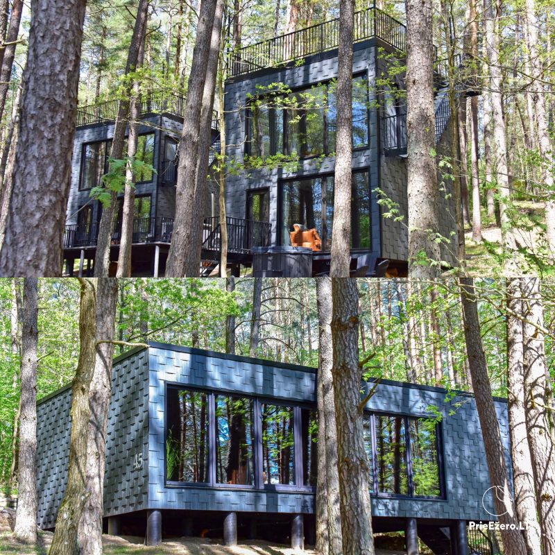 Premium Forest Bungalows - cottages for rent in Molėtai district
