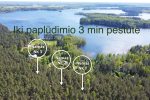 Premium Forest Bungalows- коттеджи в аренду в Молетском районе - 3