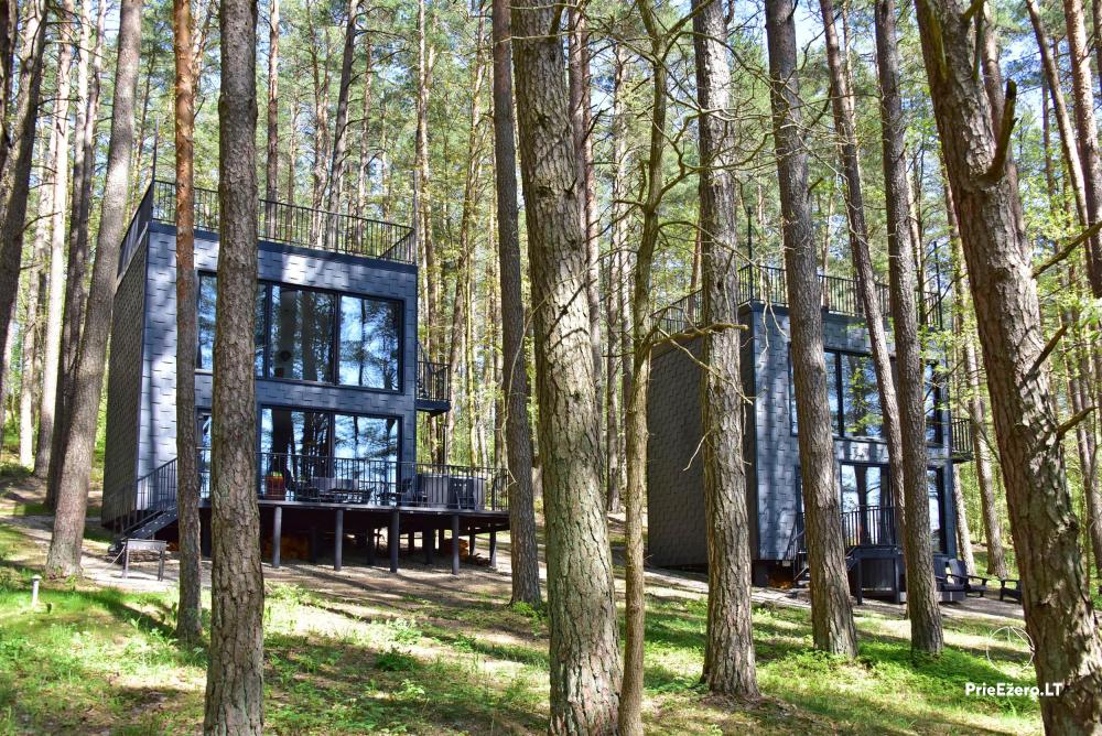 Premium Forest Bungalows- Ferienhäuser zu vermieten im Bezirk Molėtai - 1