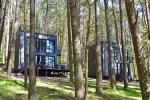 Premium Forest Bungalows - cottages for rent in Molėtai district