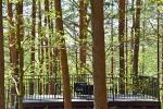 Premium Forest Bungalows - cottages for rent in Molėtai district - 3