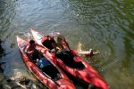Kayaks for rent and accommodation - 6