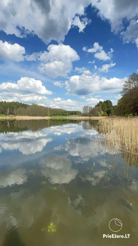 Šūrelio - do wynajęcia wiejska zagroda z widokiem na jezioro