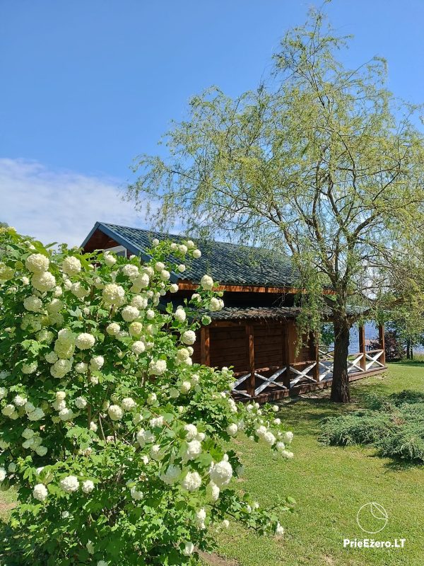 Zagroda M. Nowikowa. 3 oddzielne domy, sauna, jacuzzi