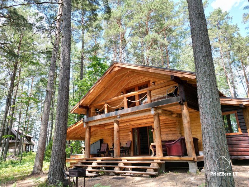 Detached homestead Gamtos Rojus in the private pine forest of Antalieptė lagoon peninsula
