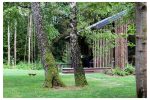 Three small houses for rent not far from Vievis - 3