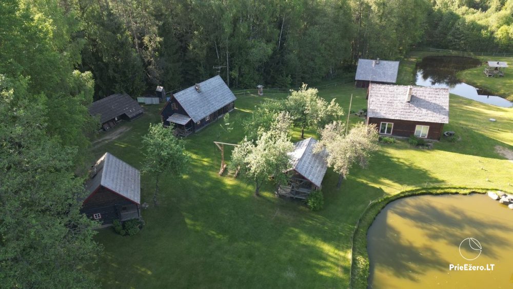 Do wynajęcia gospodarstwo Bajka o lesie Labanoras: zakwaterowanie, sauna - 1