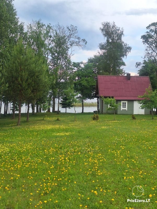 Zakwaterowanie w pobliżu jeziora Alaushas