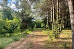 Countryside homestead Barefoot near the Ilgis lake - 2