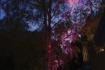 Moon valley - accommodation, sauna, kayaks, massages, educations, large outdoor bathtub - 3