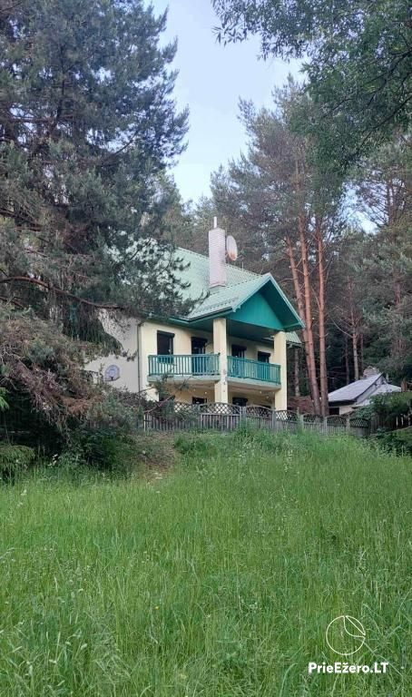 Grüne Villa - 1