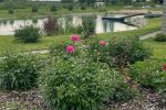Gospodarstwo pszczelarza w Kownie: sauna, jacuzzi, sala bankietowa, czysty staw, korty tenisowe - 3