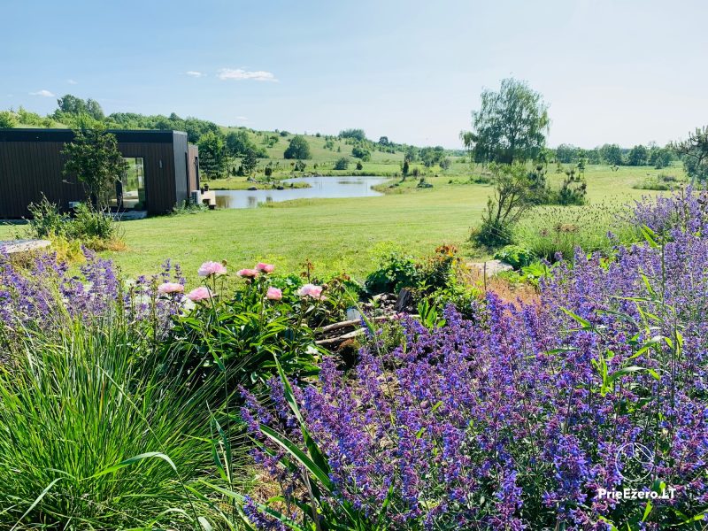 Aurora Resort - oasis of tranquility and relaxation surrounded by nature