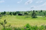 Aurora Resort - oasis of tranquility and relaxation surrounded by nature - 2