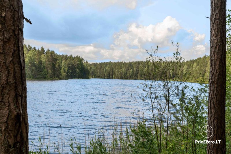Kompleks wypoczynkowy Tolieja - sauna, pokoje, apartamenty, pole namiotowe