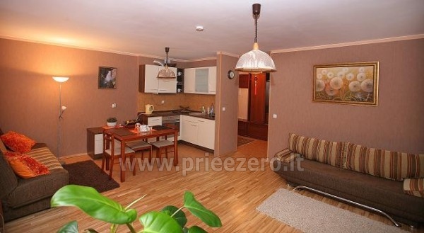 1-2-pokojowe apartamenty - mieszkania na wakacje w Druskiennikach na Litwie - 6
