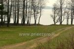 Erholungs-und Freizeitzentrum in Moletai Bereich am See Bebrusai Ruta - 5