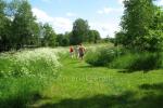 Nature friendly countryside house near the river - 4