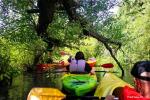 Camping Vinetu kaimas in Klaipėda Bereich - 6