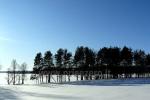 Erholungs-und Freizeitzentrum in Moletai Bereich am See Bebrusai Ruta - 4