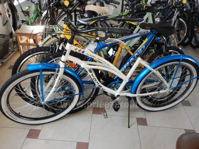 Mirasta - bicycles for rent in Druskininkai