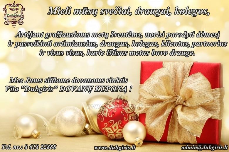 Villa Dubgiris by the lake Plinksiai