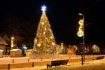 Birstonas Christmas tree opening event