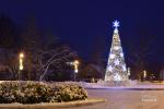 Birstonas Christmas tree opening event - 3