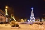 Праздник откртия Рождественской елки в Бирштонасе - 4