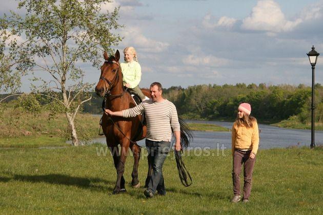 Riding horses Guest House at the river Venta Ventaskrasti