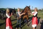Jizda na koni w Ventspils rejonie Dom goscinnym i kempingu Ventaskrasti - 5
