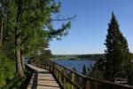 Juniper valley in Kaunas lagoon regional park - 2