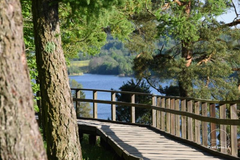Juniper valley in Kaunas lagoon regional park
