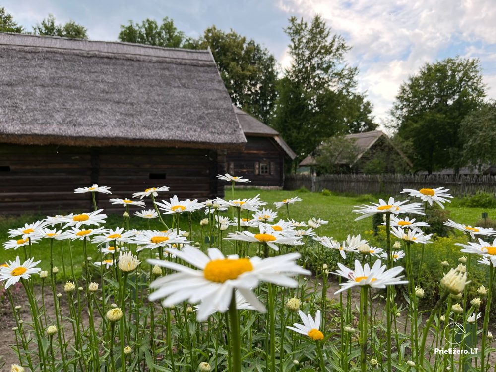 Muzeum Etnografii Litwy w Rumšiškės - 1