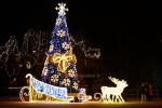 Weihnachtsbaum Eröffnung Veranstaltung in Trakai