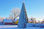 Christmas Tree Opening Event in Trakai - 5