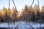 Mikieriai (Monkey) bridge in Anyksciai district - 4