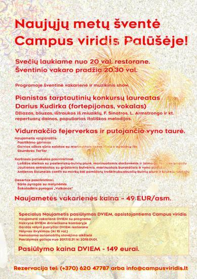 Празднование Нового года в Campus viridis