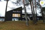 Campus viridis  in Palushe, in Litauen - 5