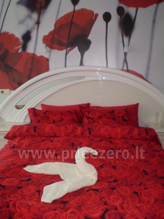 Romantic vacation in homestead in Kaisiadorys area - 1