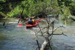 Romantic vacation in homestead in Kaisiadorys area - 5