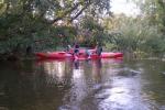 Romantic vacation in homestead in Kaisiadorys area - 6