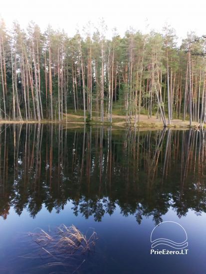 Wandertouren im Labanoras Regional Park in Litauen