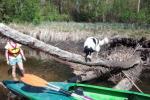 Kayak rent in Ignalina district, Lithuania - 3