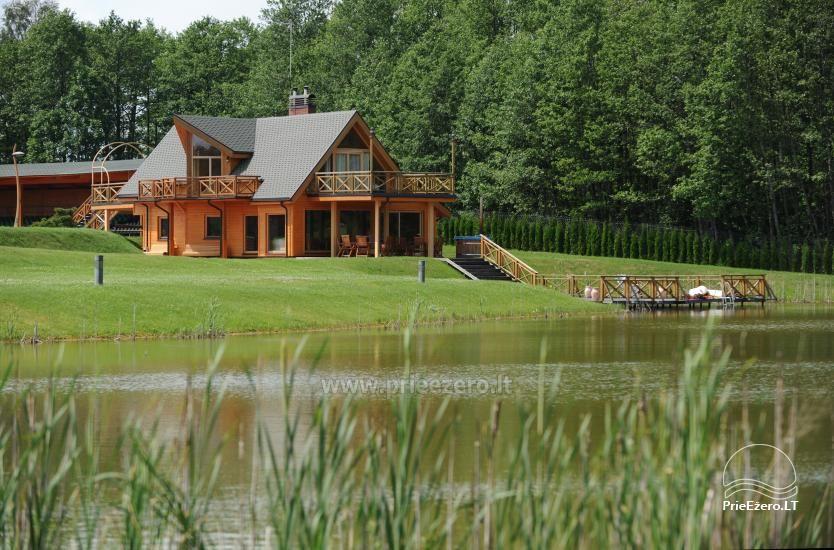 Seven-seater villa „Stiprybė“ - HARMONY PARK - 1