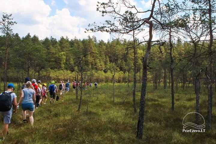 Bildungsreise nach Labanoras Wald (zu Fuß) - 1