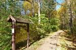 Lehrpfad der Dūkšta-Eiche im Regionalpark Neris - 2