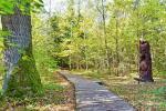 Lehrpfad der Dūkšta-Eiche im Regionalpark Neris - 4